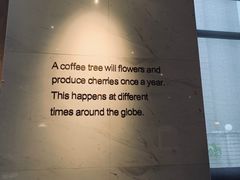 -星巴克(汾阳路店)