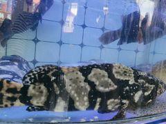 -日照大牌檔•小船海鲜(万平口店)