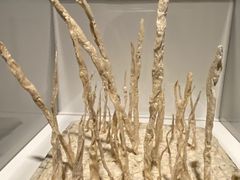 -上海当代艺术博物馆