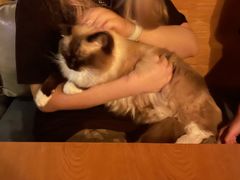 -MOSSO音乐酒吧·live house(长乐路店)