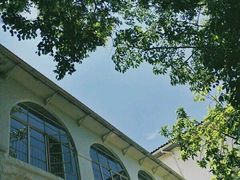 -巴陵全鱼席(湖南老字号汴河街店 )