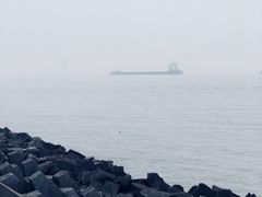-上海滨江森林公园