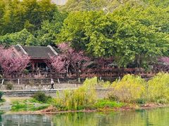 -望江楼公园