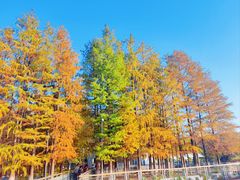 -月湖风景区