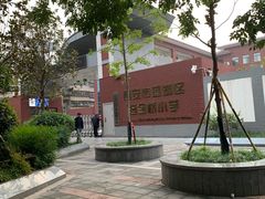 -马文章胖子甑糕(洒金桥店)