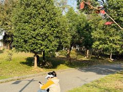 -杏花村文化旅游区