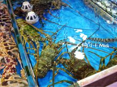 大堂-四川小胡子海鲜(丁村万人海鲜广场店)