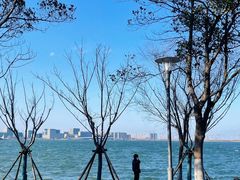 -滴水湖
