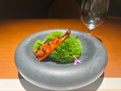 -觀芷隐轩
