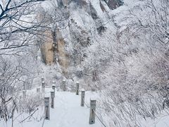 -北京凤凰岭