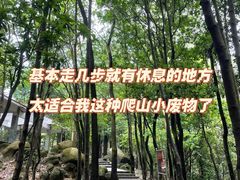 -火炉山森林公园