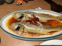 -波螺油子青岛本帮菜(银座店)