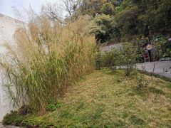 -广州市紫泥堂文化创意园景区
