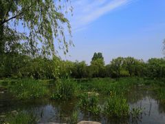 -新江湾城公园