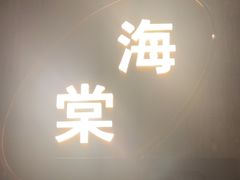 -新雅粤菜馆(南京东路店)