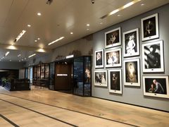 -MUSEE CAFE(保利·时光里店)