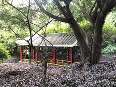 -金鸡山公园