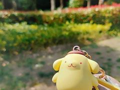-南翔镇银翔湖公园