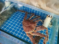 -名超海鲜烧烤大排档