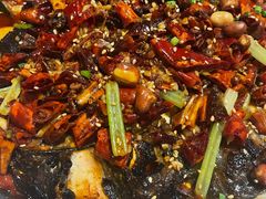 -锦尚阁烤鱼(望京新荟城店)