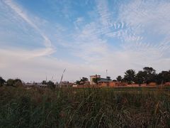 -东昌湖风景区