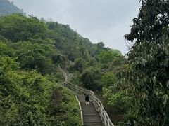 -峨眉山风景名胜区