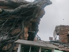 -贵州森林野生动物园