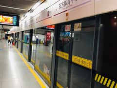 -东方体育中心(地铁站)