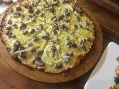 -百好乐宠物友好餐厅(朝外大街店)