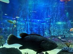 -沈阳海洋探索中心