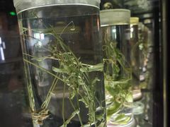 -广东中医药博物馆