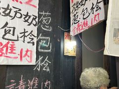 -孙奶奶葱包桧