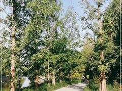 -元大都城垣遗址公园