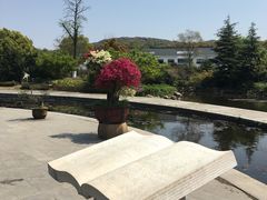 -白马涧龙池景区