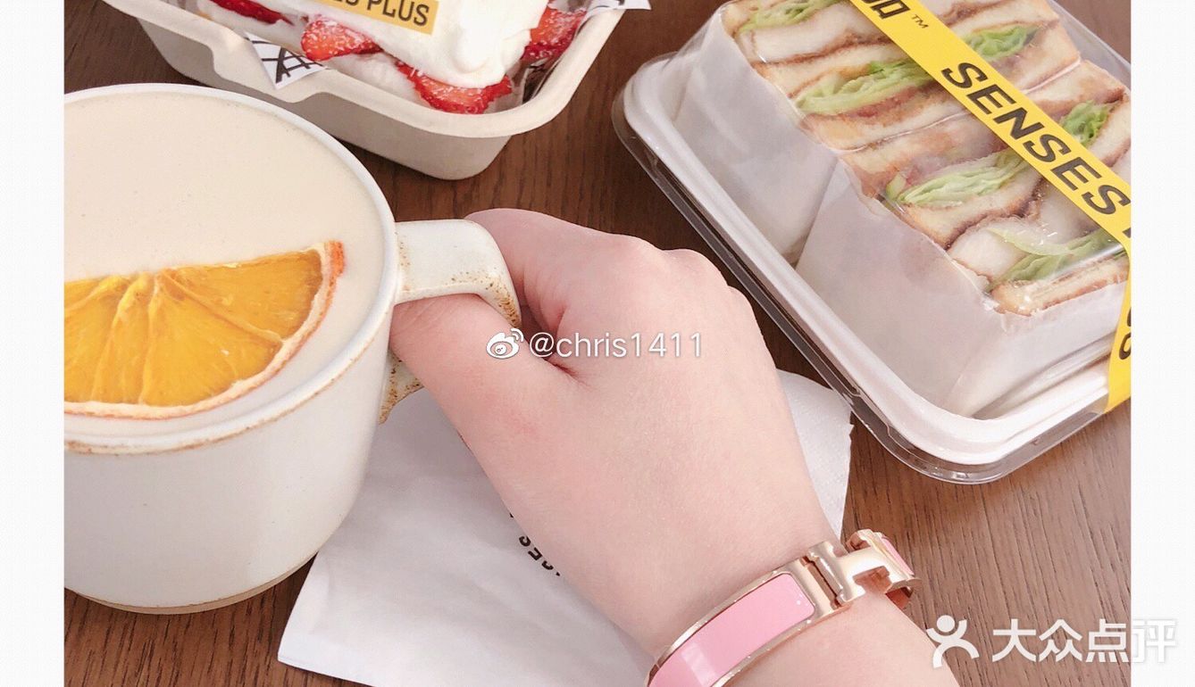 森加SENSES PLUS