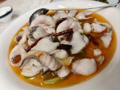 -丁老爷子苏香圆