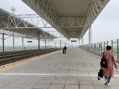 -临平南高铁站(地铁站)