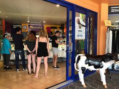 -Dooley's Premium Ice Cream