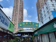 -曲阳花鸟市场(曲阳路店)
