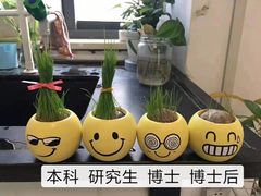 -海马体照相馆(合肥包河万达广场店)