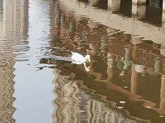 -龙头寺公园