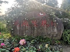 -鹅湖玫瑰文化园
