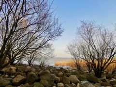 -上海吴淞炮台湾国家湿地公园