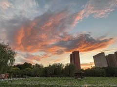 -东方红海鲜百汇(国际大厦店)