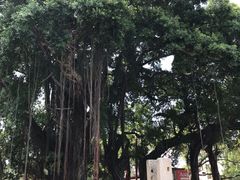 -烟桥古村