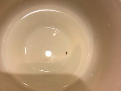 -凤凰轩·尾牙宴·生日宴(十里银滩店)