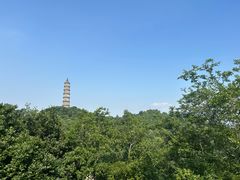 -巢湖姥山岛