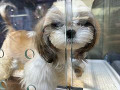 -FAELING PETS美天灵宠物(富力广场店)