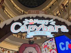 -成都你六姐·牛肉冒菜(城市集市合生汇店)