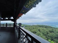 -铁山坪森林公园